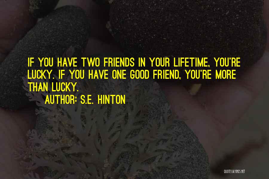 Friends For A Lifetime Quotes By S.E. Hinton