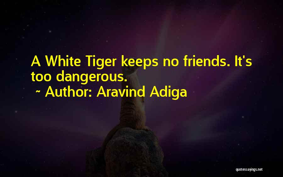 Friends For Keeps Quotes By Aravind Adiga