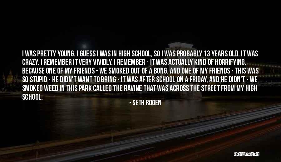 Friends From School Quotes By Seth Rogen