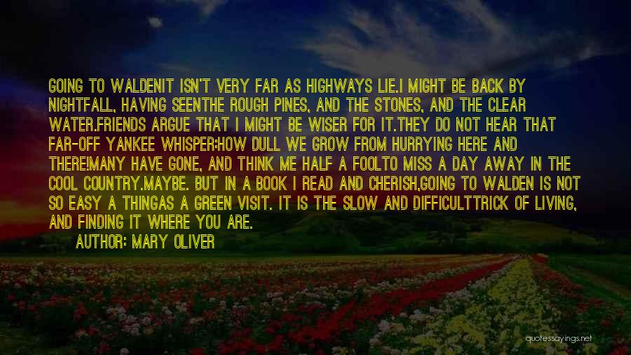 Friends Going Far Away Quotes By Mary Oliver