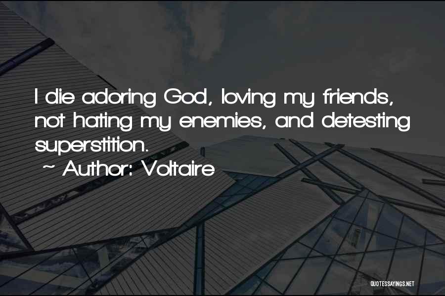 Friends Hating Me Quotes By Voltaire