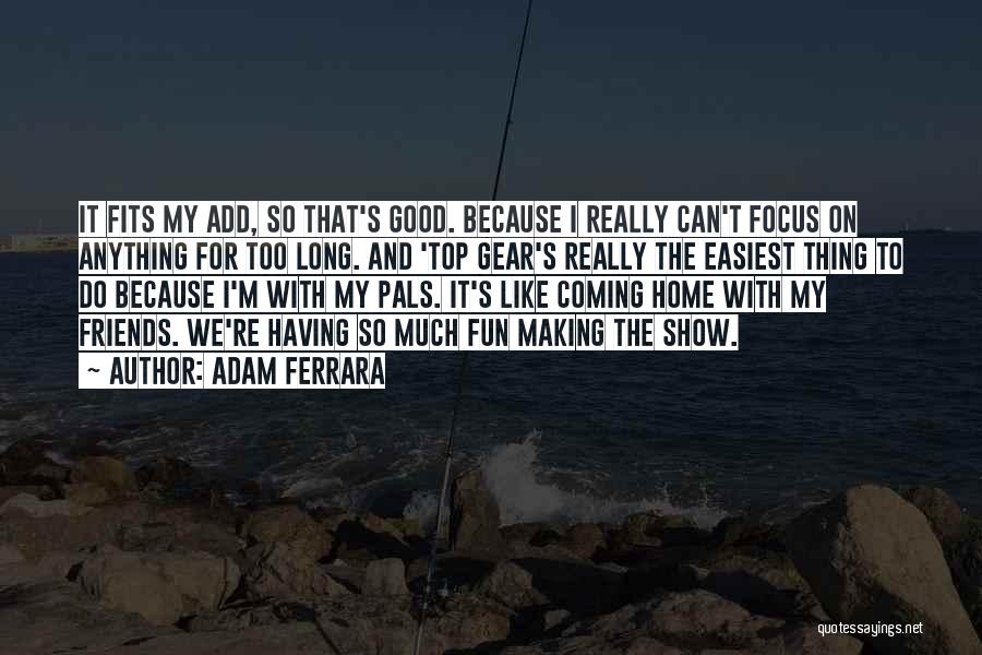 Friends Having Fun Quotes By Adam Ferrara