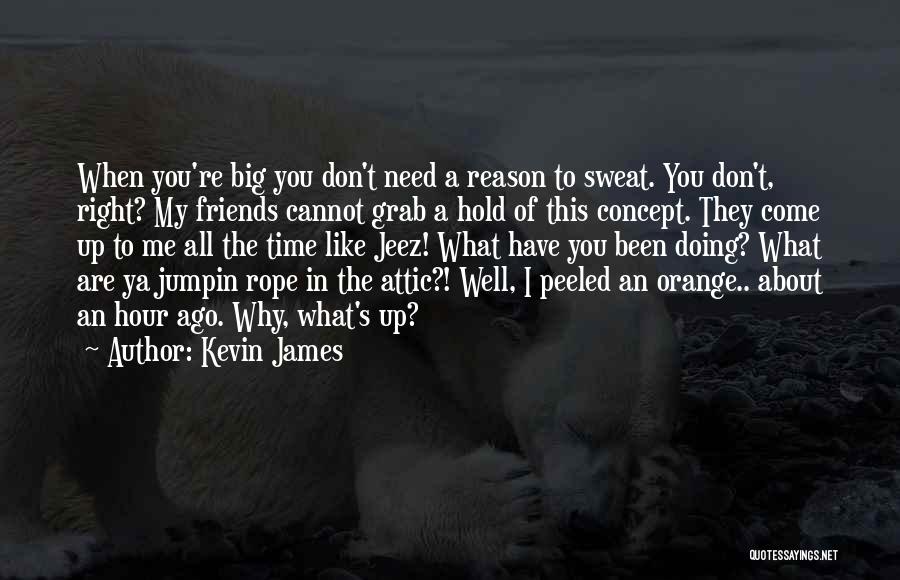Friends Hold You Up Quotes By Kevin James