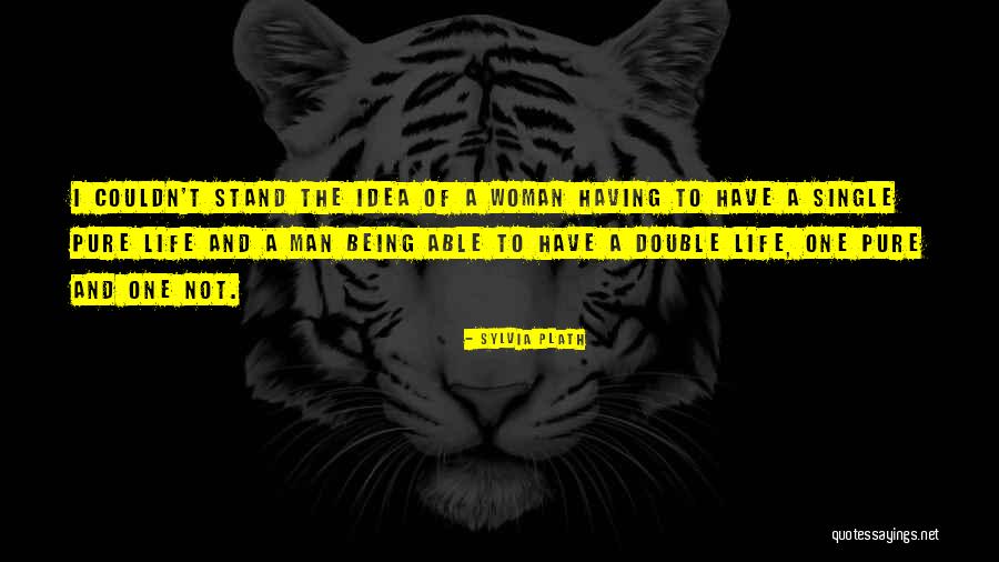 Friends In Hindi Quotes By Sylvia Plath Friends In Hindi Quotes By Sylvia Plath