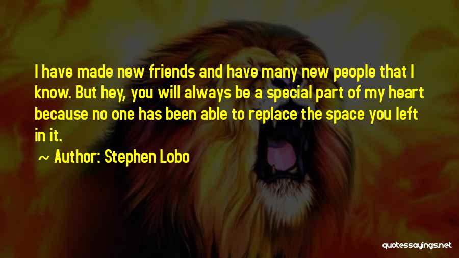 Friends In The Distance Quotes By Stephen Lobo