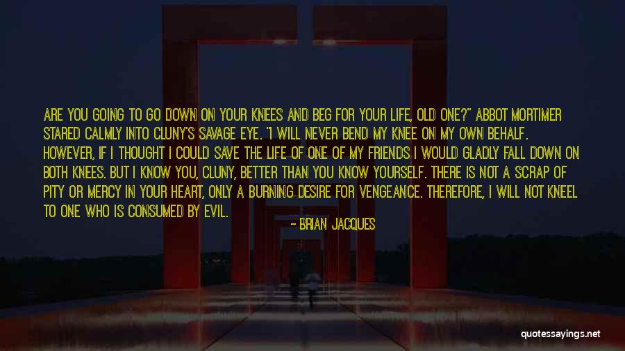 Friends Know You Better Quotes By Brian Jacques Friends Know You Better Quotes By Brian Jacques