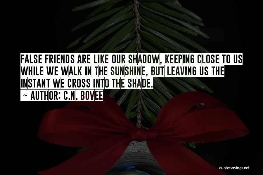 Friends Leaving You Out Quotes By C.N. Bovee