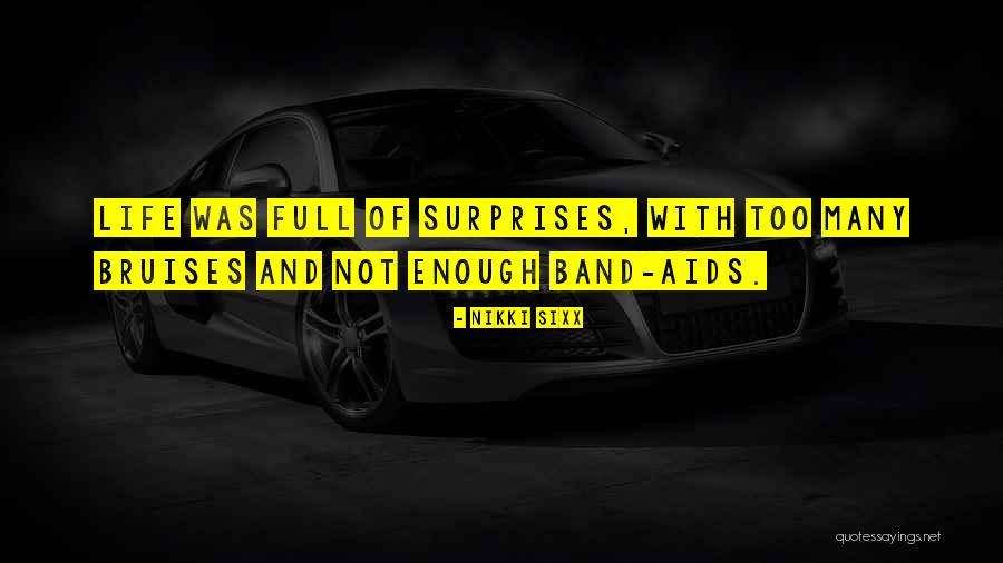 Friends Life Group Risk Quotes By Nikki Sixx