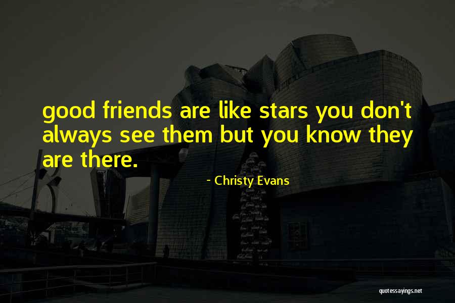 Friends Like Stars Quotes By Christy Evans