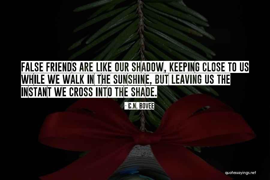 Friends Like Us Quotes By C.N. Bovee Friends Like Us Quotes By C.N. Bovee
