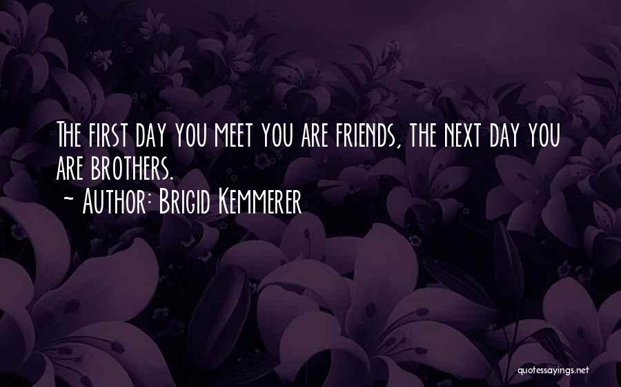 Friends Meet Quotes By Brigid Kemmerer