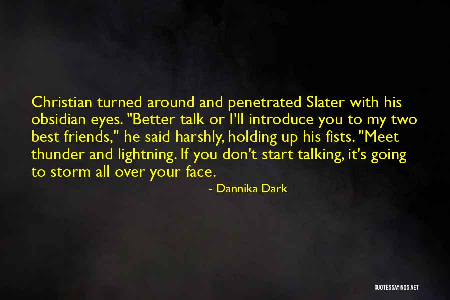 Friends Meet Quotes By Dannika Dark