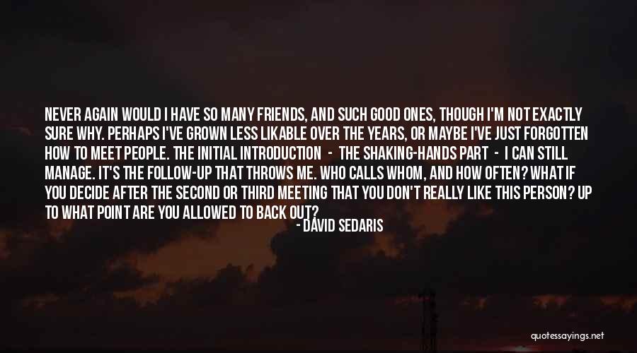 Friends Meeting Again Quotes By David Sedaris