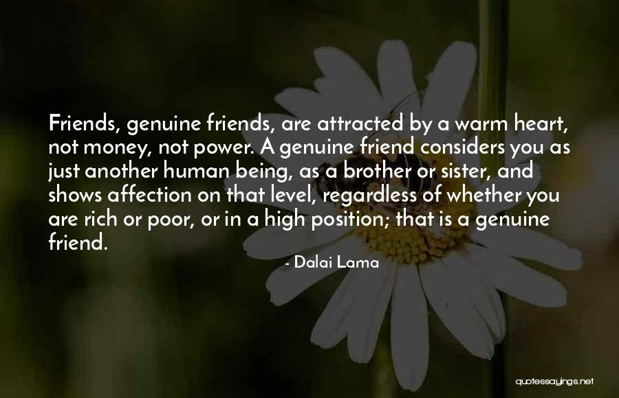 Friends Regardless Quotes By Dalai Lama