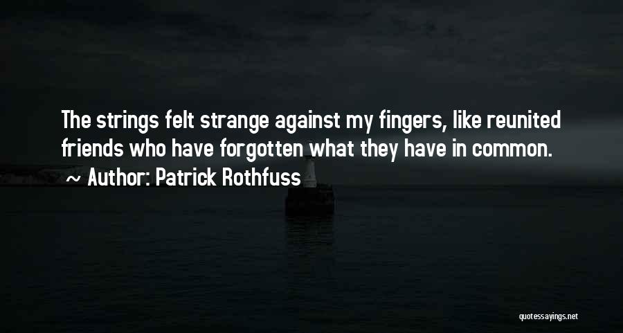 Friends Reunited Quotes By Patrick Rothfuss