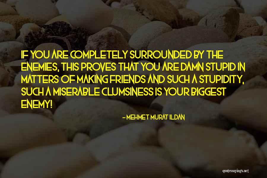 Friends Stupidity Quotes By Mehmet Murat Ildan Friends Stupidity Quotes By Mehmet Murat Ildan