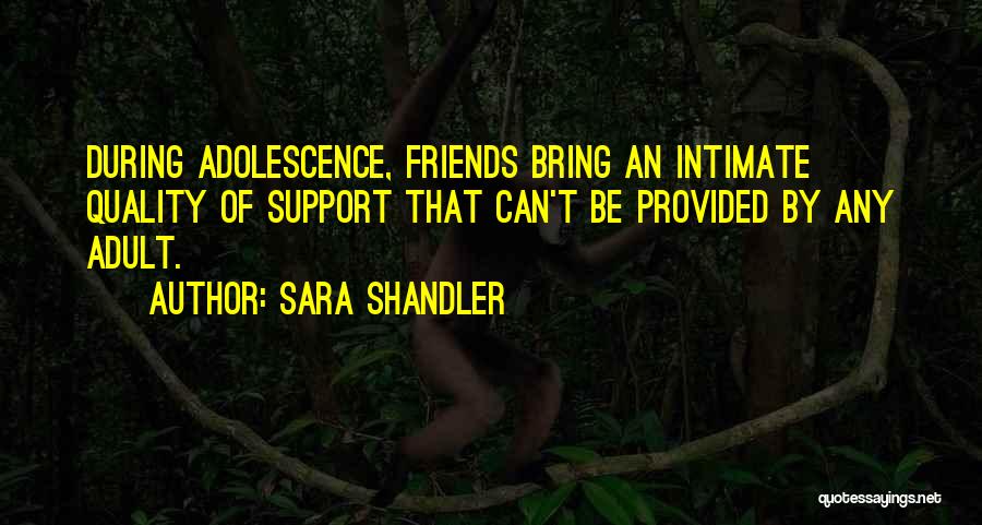 Friends Support Quotes By Sara Shandler