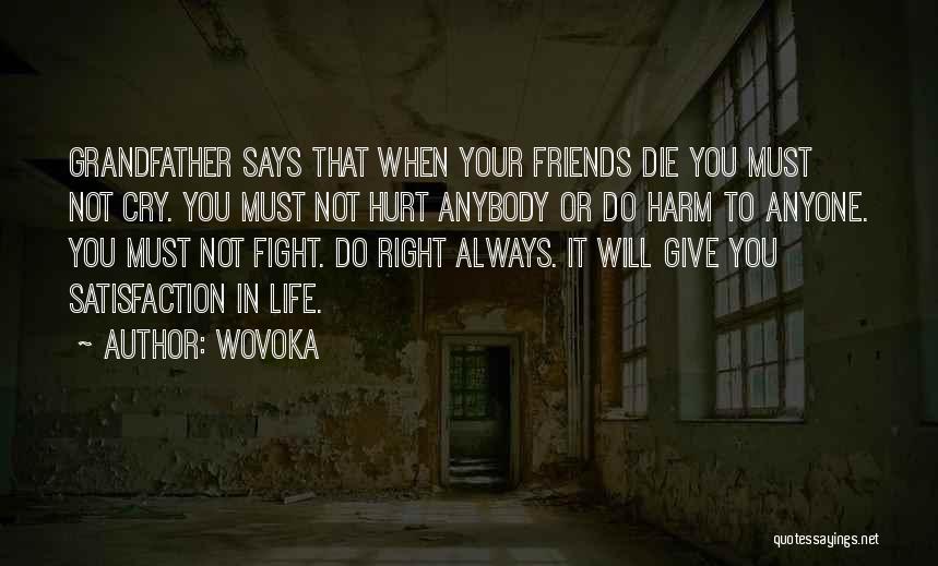 Friends That Always Fight Quotes By Wovoka