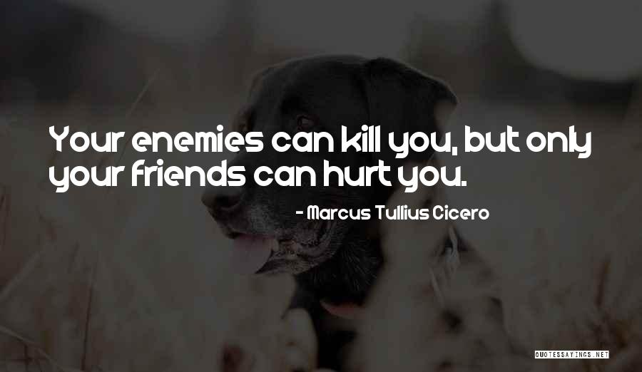 Friends That Have Hurt You Quotes By Marcus Tullius Cicero