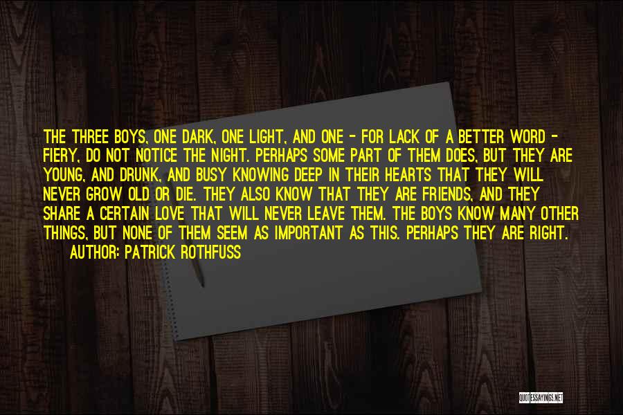 Friends That Never Leave Quotes By Patrick Rothfuss