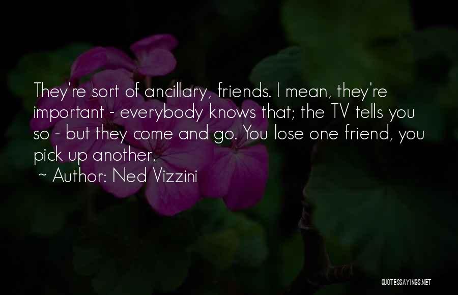 Friends They Come And They Go Quotes By Ned Vizzini