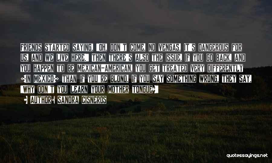 Friends They Come And They Go Quotes By Sandra Cisneros