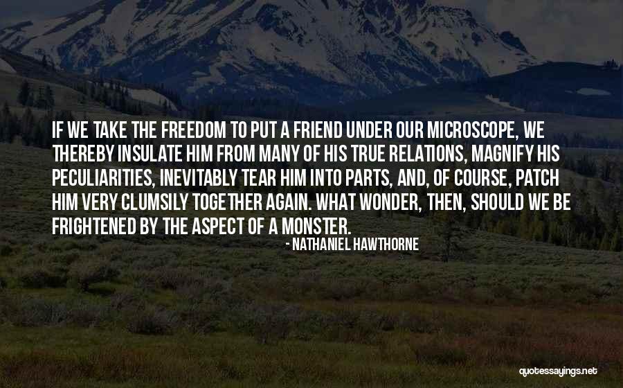 Friends Together Again Quotes By Nathaniel Hawthorne Friends Together Again Quotes By Nathaniel Hawthorne