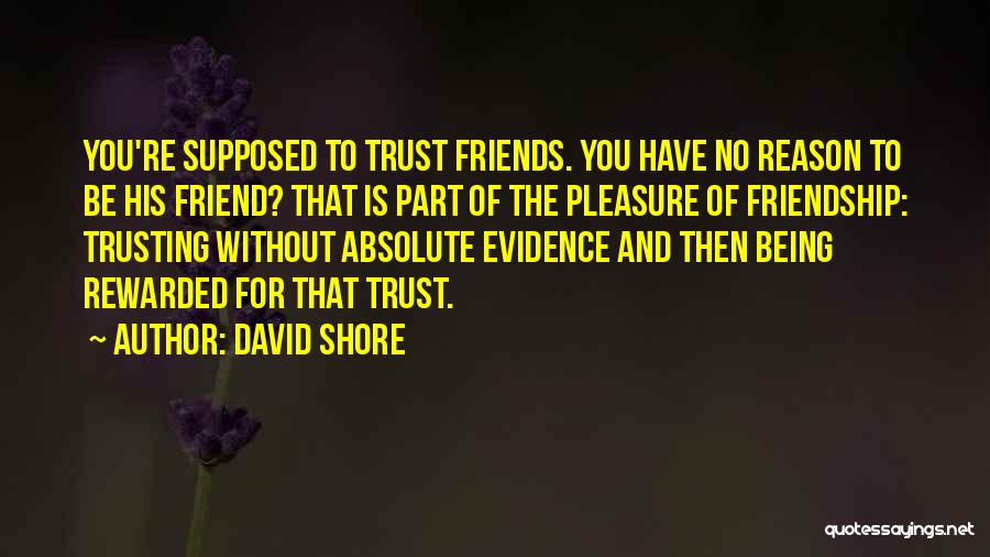 Friends Trusting You Quotes By David Shore