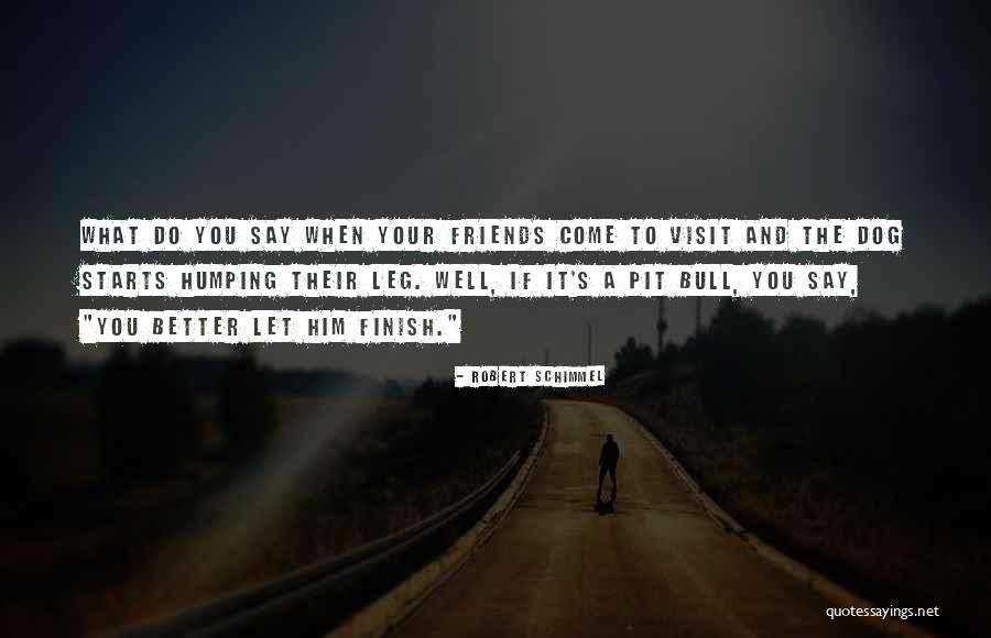 Friends Visit Quotes By Robert Schimmel Friends Visit Quotes By Robert Schimmel