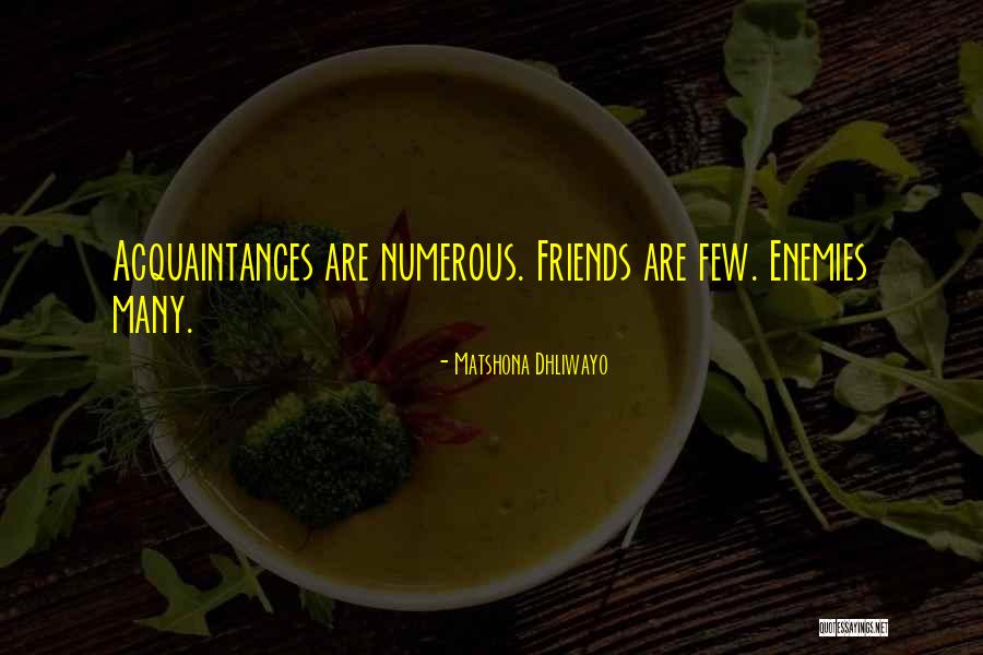 Friends Vs Enemies Quotes By Matshona Dhliwayo
