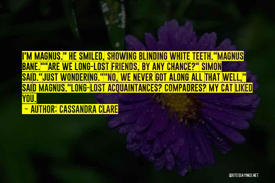 Friends We Lost Along The Way Quotes By Cassandra Clare