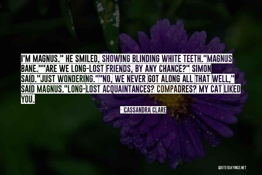 Friends We Lost Quotes By Cassandra Clare