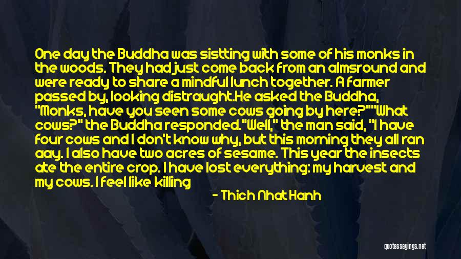 Friends We Lost Quotes By Thich Nhat Hanh