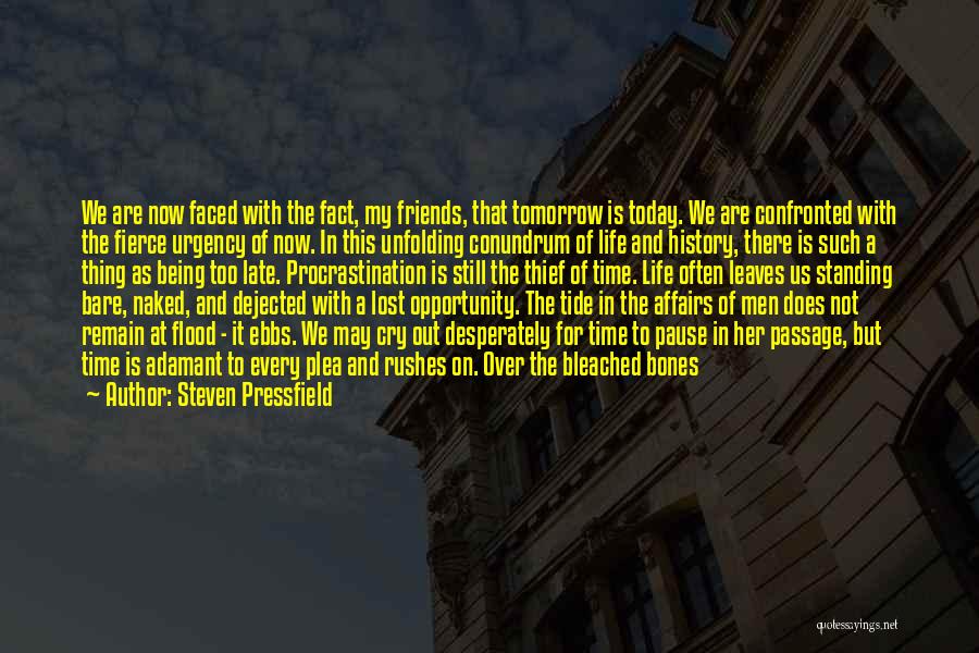 Friends We've Lost Quotes By Steven Pressfield