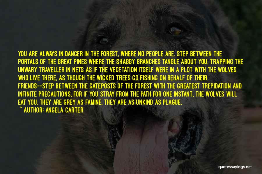 Friends Who Are There For You Quotes By Angela Carter