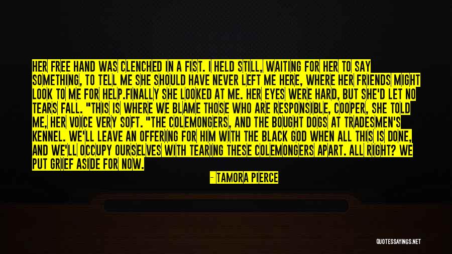 Friends Who Left Quotes By Tamora Pierce Friends Who Left Quotes By Tamora Pierce