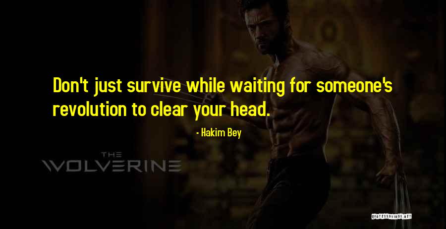 Friends With Drug Problems Quotes By Hakim Bey Friends With Drug Problems Quotes By Hakim Bey