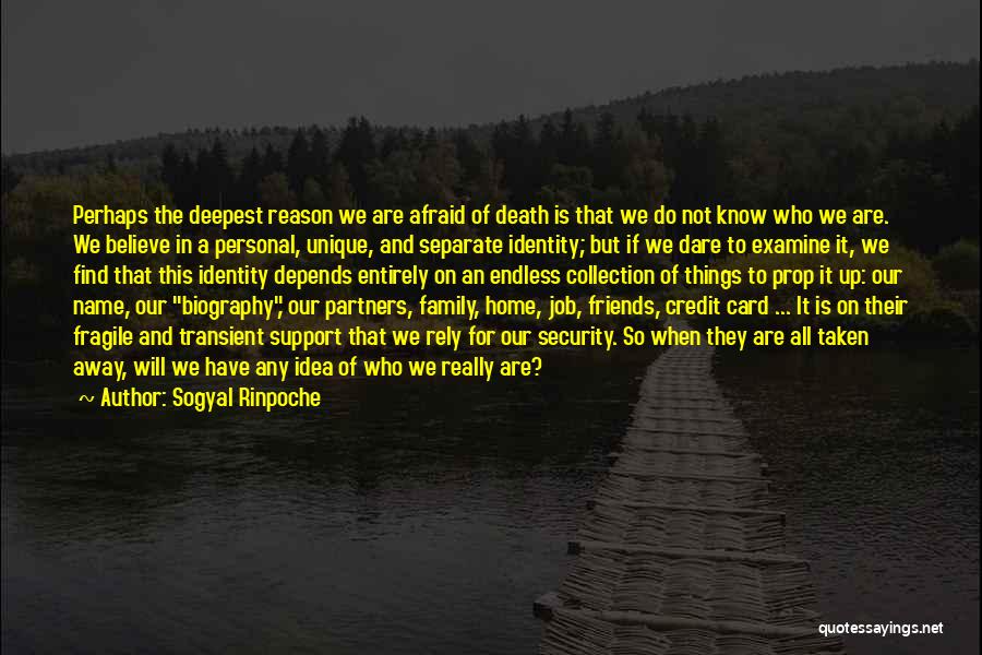 Friends You Can Rely On Quotes By Sogyal Rinpoche