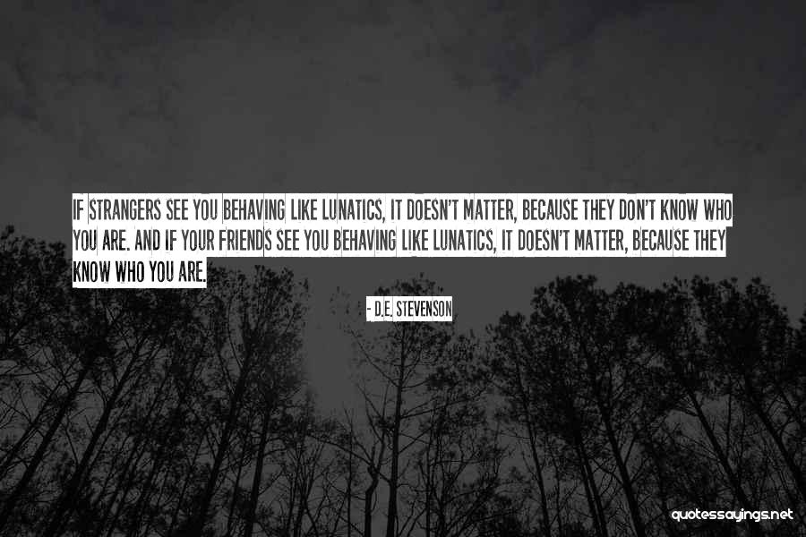 Friends You Don't See Quotes By D.E. Stevenson Friends You Don't See Quotes By D.E. Stevenson