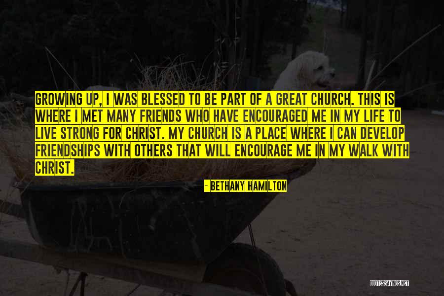 Friends You Just Met Quotes By Bethany Hamilton Friends You Just Met Quotes By Bethany Hamilton