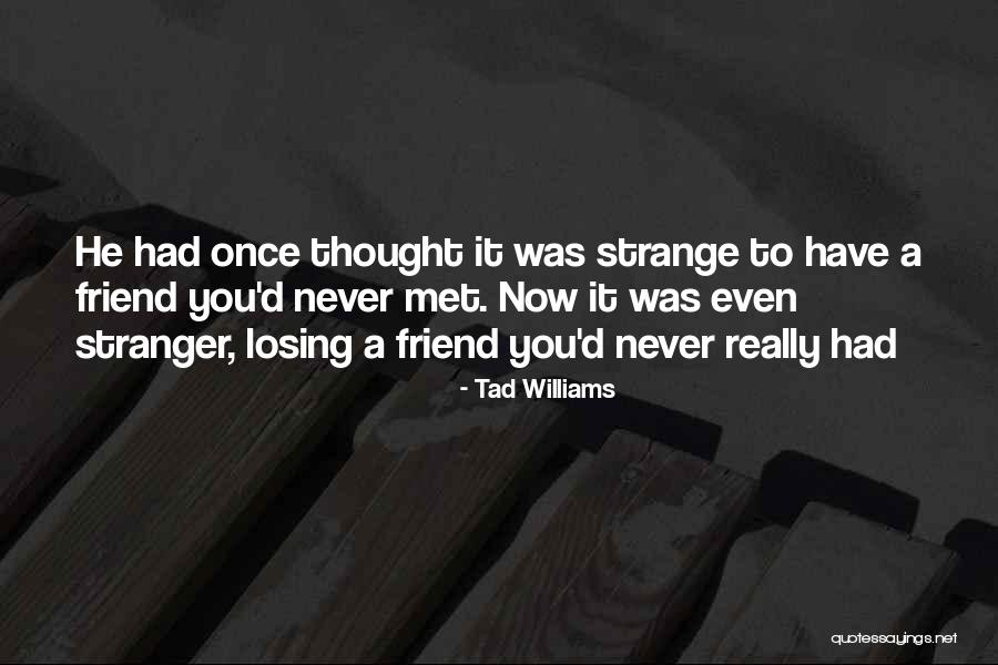 Friends You Just Met Quotes By Tad Williams Friends You Just Met Quotes By Tad Williams