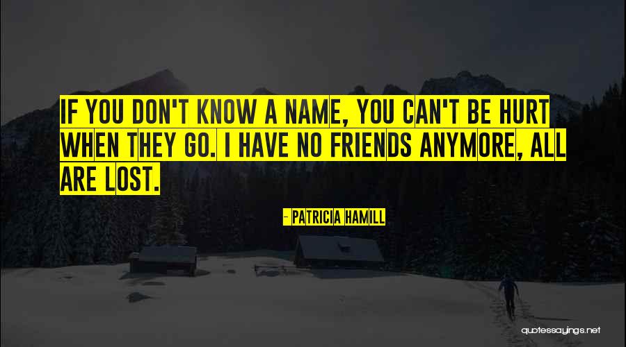 Friends You Lost Quotes By Patricia Hamill Friends You Lost Quotes By Patricia Hamill
