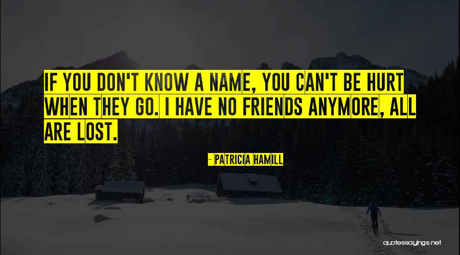 Friends You Lost Quotes By Patricia Hamill