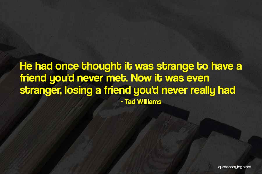 Friends You Never Met Quotes By Tad Williams