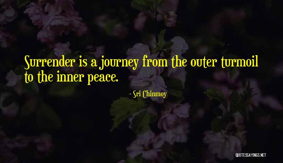 Friends You Seldom See Quotes By Sri Chinmoy Friends You Seldom See Quotes By Sri Chinmoy
