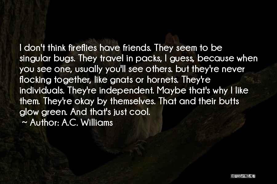 Friends You Travel With Quotes By A.C. Williams