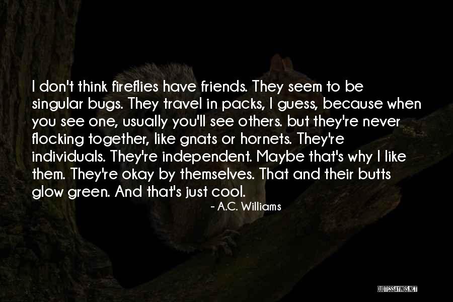 Friends You Travel With Quotes By A.C. Williams