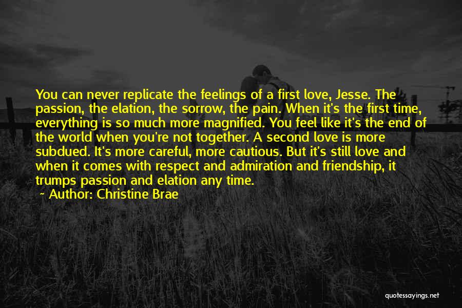 Friendship And Admiration Quotes By Christine Brae