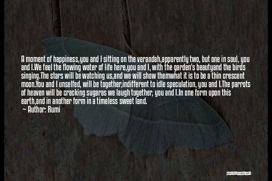 Friendship And Heaven Quotes By Rumi