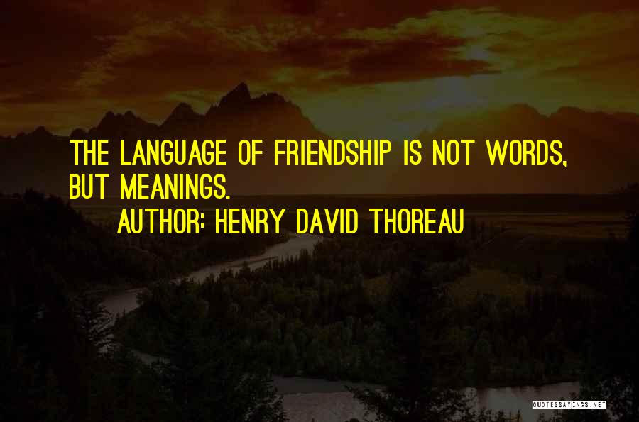 Friendship And Their Meanings Quotes By Henry David Thoreau